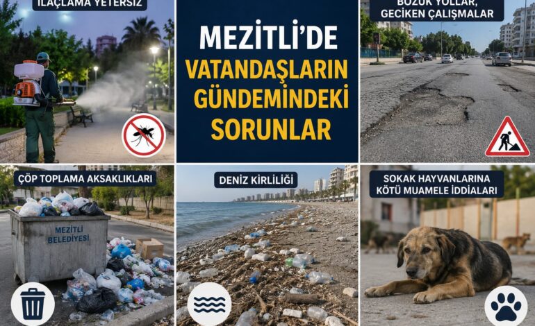 Mezitli’de Vatandaşların Gündeminde Yol, Çevre ve İlaçlama Sorunları
